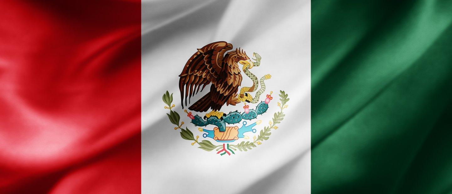 Mexican flag, eagle with a snake in its mouth perched on a cactus centered in a white background, green section to the left, red section to the right